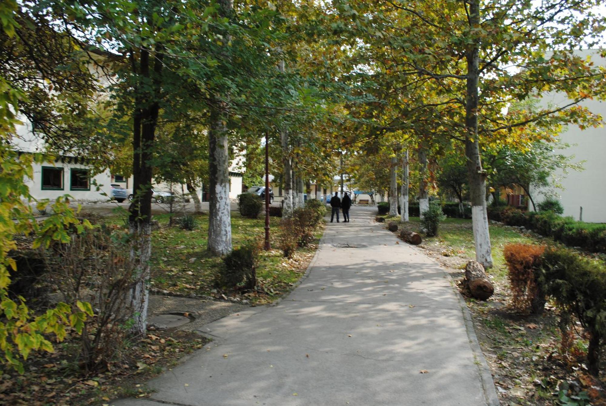 Complex Mediteranean Mamaia Esterno foto